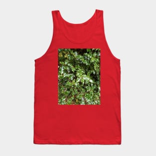 Holly Tank Top